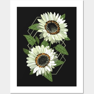 Venidium Zulu Warrior Flowers (White Monarch of The Veldt) Posters and Art